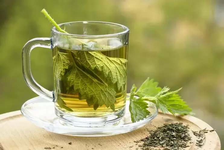 herbal decoction for drinking diet